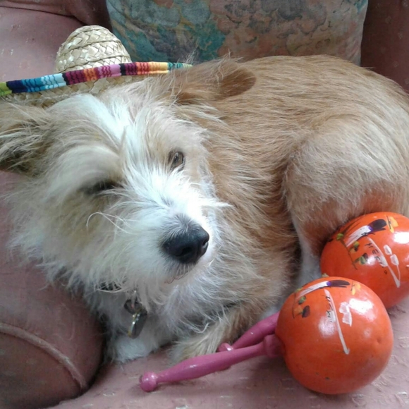 Meet your Posher, Bex - Picture 6 of 7